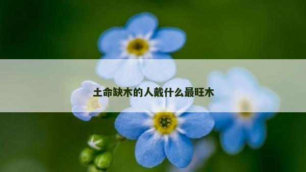 土命缺木的人戴什么最旺木