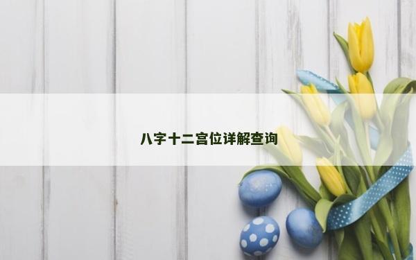 八字十二宮位詳解查詢