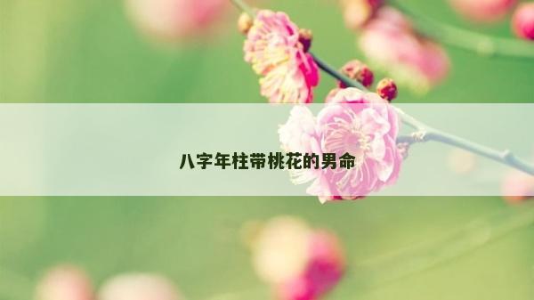八字年柱帶桃花的男命 八字年柱帶桃花的男命