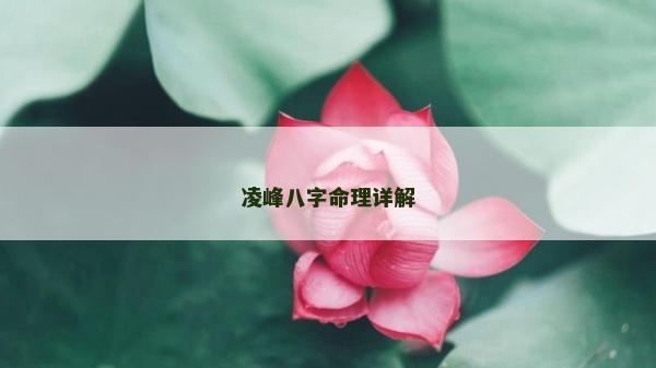 凌峰八字命理詳解 凌峰八字命理詳解