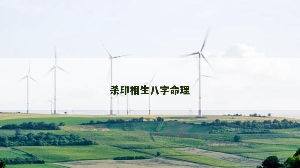 殺印相生八字命理