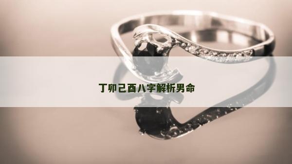 丁卯己酉八字解析男命