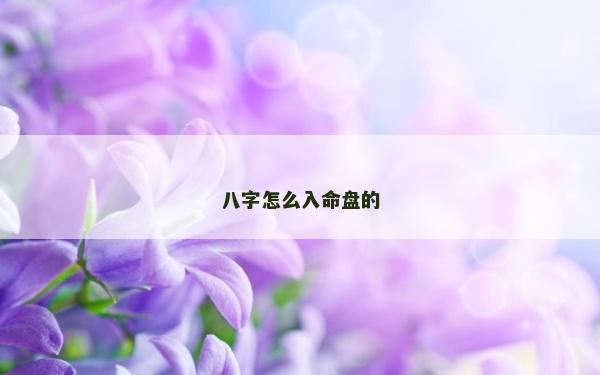 八字怎么入命盤的