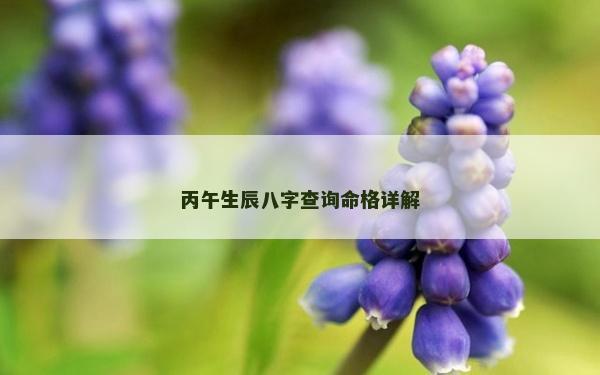 丙午生辰八字查詢命格詳解