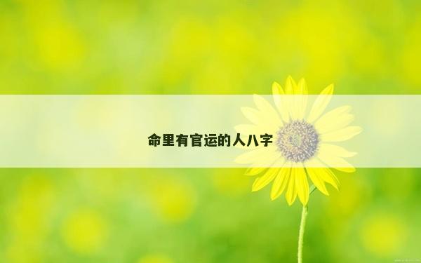 命里有官運的人八字