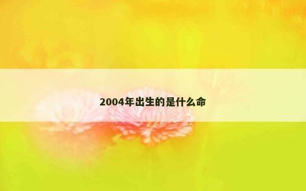 2004年出生的是什么命