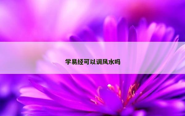 學(xué)易經(jīng)可以調(diào)風(fēng)水嗎