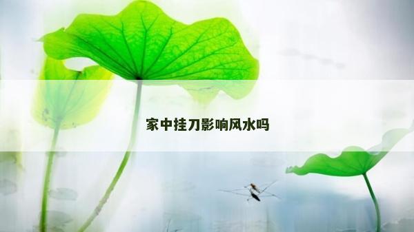家中掛刀影響風水嗎