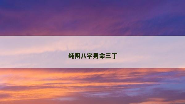 純陰八字男命三丁