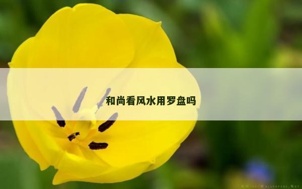 和尚看風水用羅盤嗎