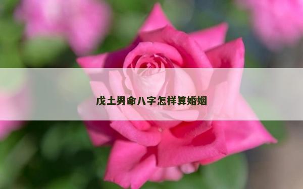 戊土男命八字怎樣算婚姻
