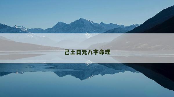 己土日元八字命理