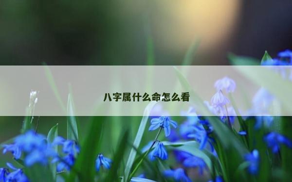 八字屬什么命怎么看 八字屬什么命怎么看