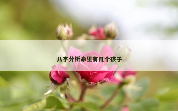 八字分析命里有幾個孩子
