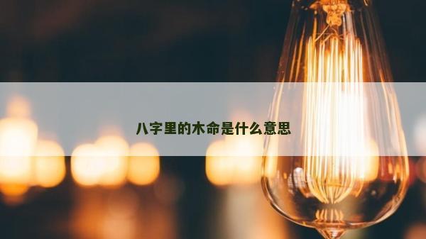 八字里的木命是什么意思