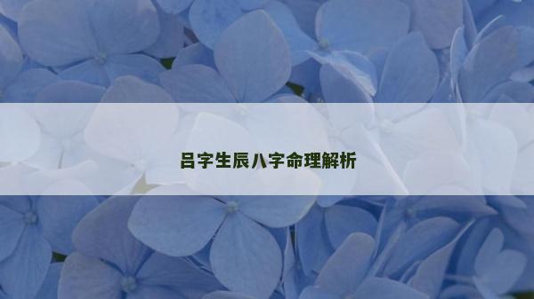 呂字生辰八字命理解析