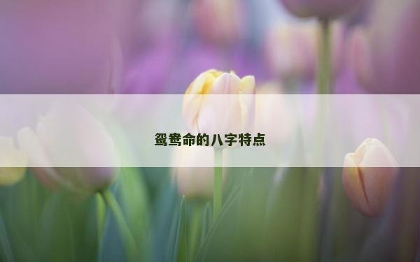 鴛鴦命的八字特點