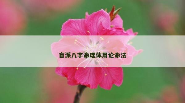 盲派八字命理體用論命法