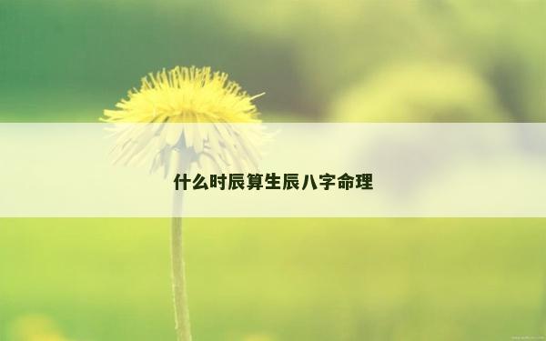 什么時辰算生辰八字命理