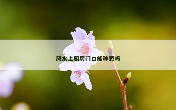 風水上廚房門口能種蔥嗎