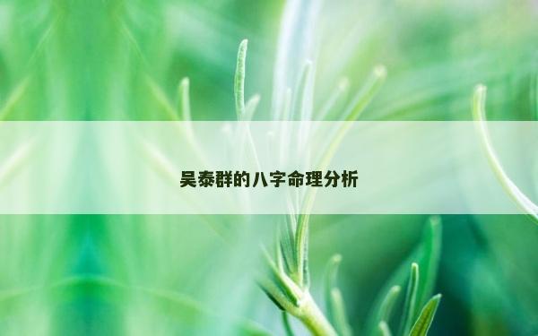 吳泰群的八字命理分析