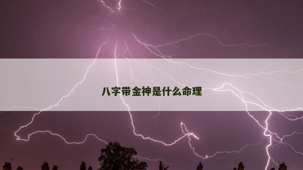 八字帶金神是什么命理