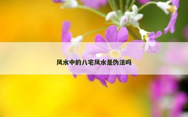 風水中的八宅風水是偽法嗎 風水中的八宅風水是偽法嗎