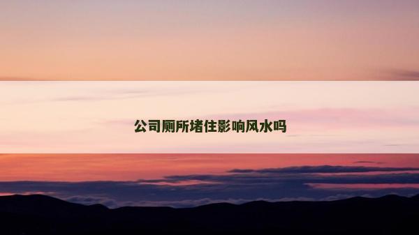 公司廁所堵住影響風(fēng)水嗎