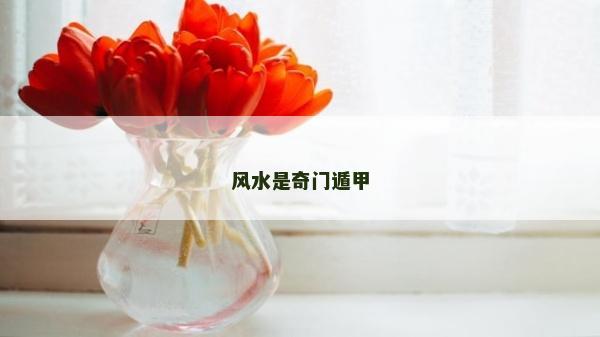 風水是奇門遁甲 風水是奇門遁甲
