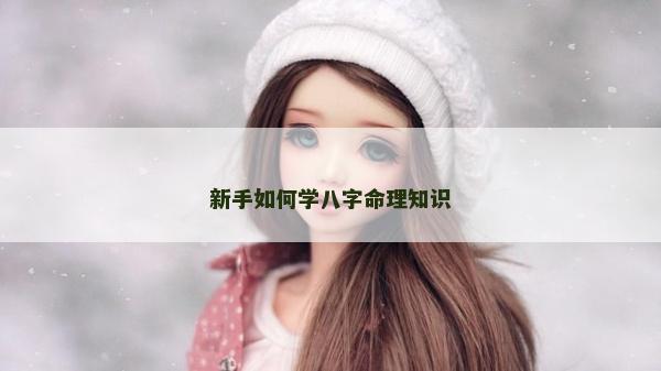 新手如何學八字命理知識