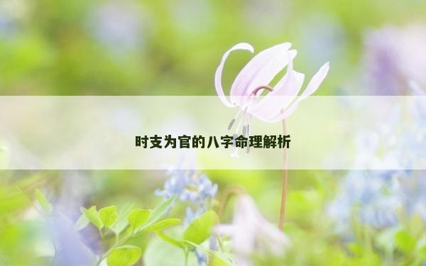 時支為官的八字命理解析