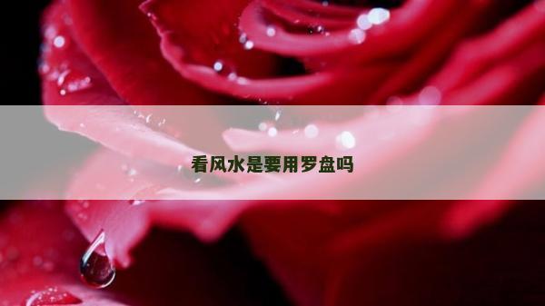 看風水是要用羅盤嗎