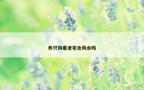 養(yǎng)只狗看老宅合風(fēng)水嗎