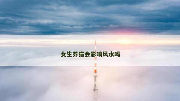 女生養貓會影響風水嗎