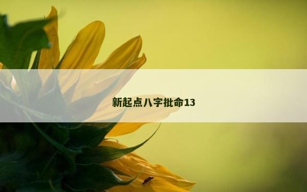 新起點八字批命13