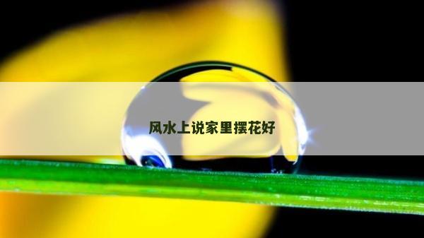 風(fēng)水上說家里擺花好