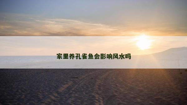 家里養孔雀魚會影響風水嗎