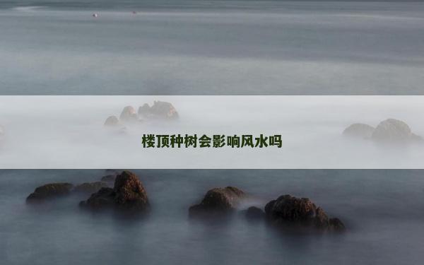 樓頂種樹會影響風水嗎