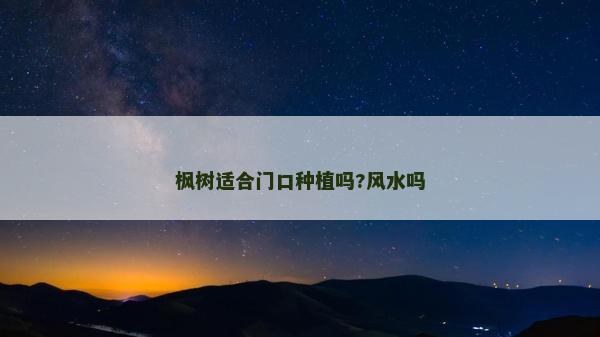 楓樹適合門口種植嗎?風(fēng)水嗎
