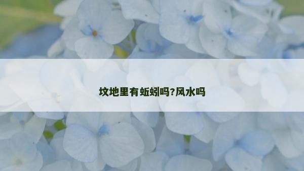 墳地里有蚯蚓嗎?風水嗎