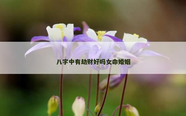 八字中有劫財好嗎女命婚姻