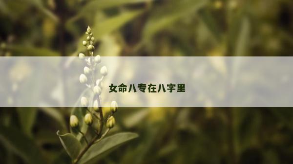女命八專在八字里