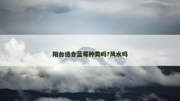 陽臺(tái)適合藍(lán)莓種類嗎?風(fēng)水嗎