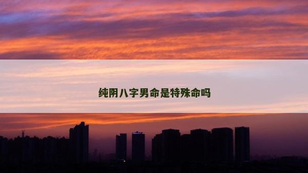 純陰八字男命是特殊命嗎
