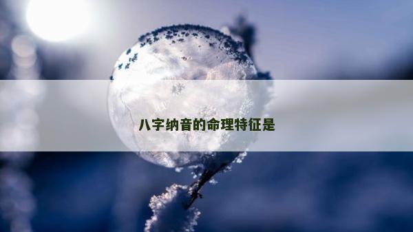 八字納音的命理特征是