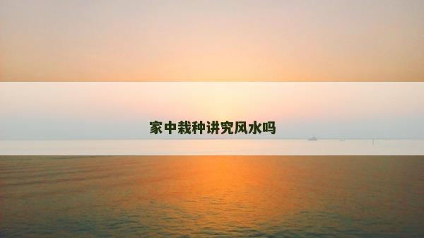 家中栽種講究風水嗎