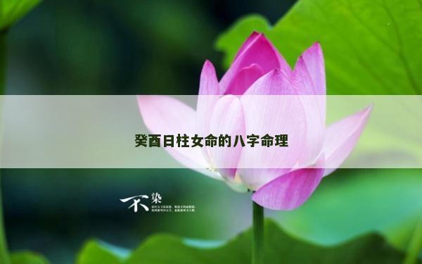 癸酉日柱女命的八字命理