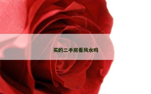 買的二手房看風水嗎