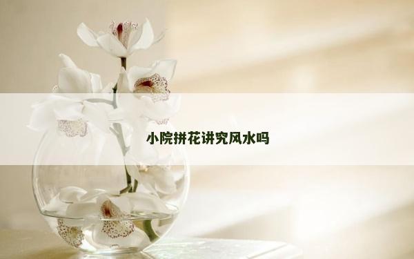 小院拼花講究風水嗎