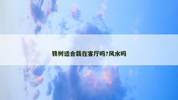 鐵樹適合栽在客廳嗎?風水嗎
